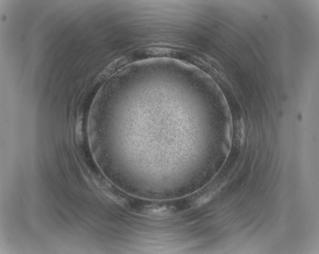 X0000081560267200701291157