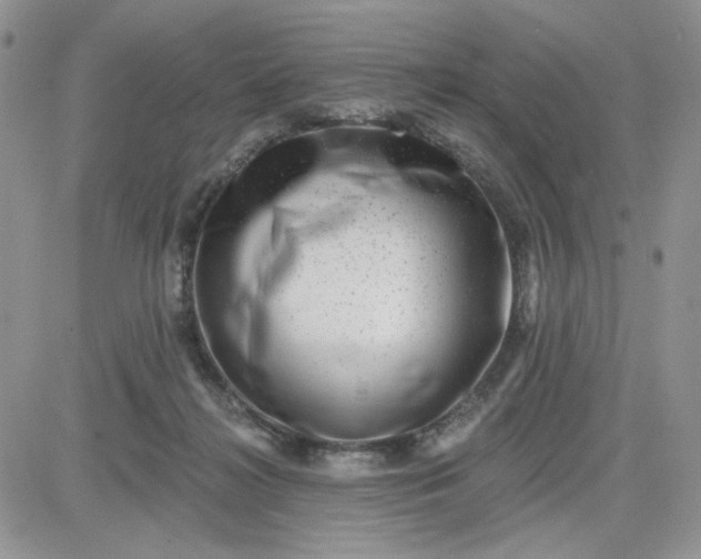 X0000081560268200701291157