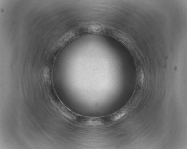 X0000081560270200701291157