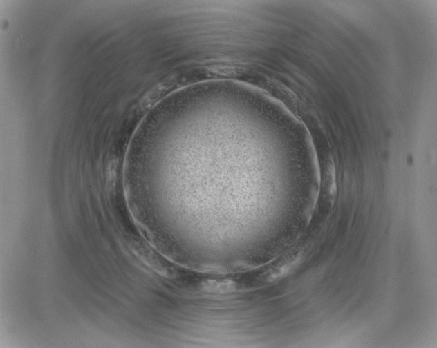 X0000081560271200701291157