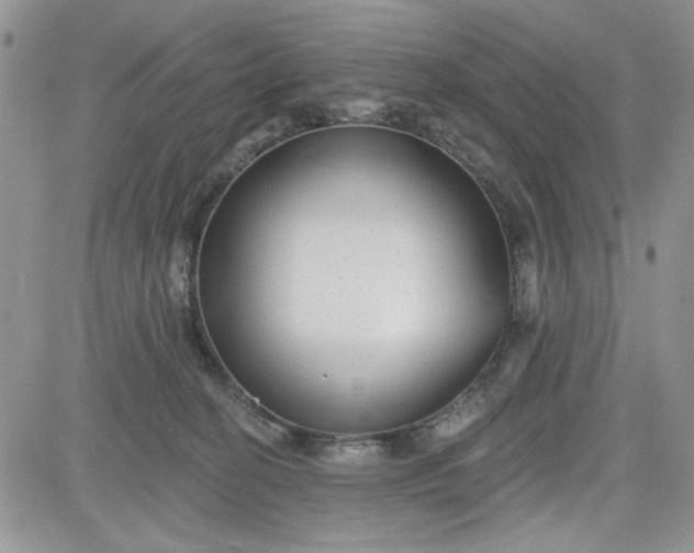 X0000081560274200701291157