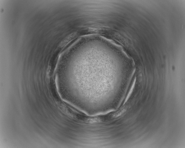 X0000081560275200701291157