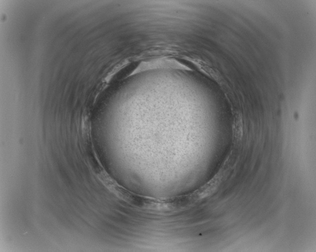 X0000081560276200701291157