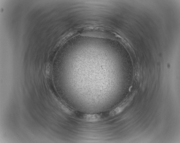 X0000081560277200701291157