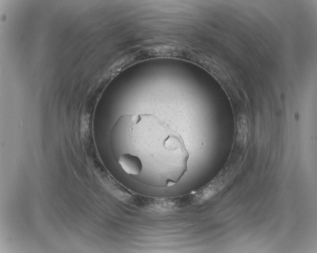 X0000081560278200701291157