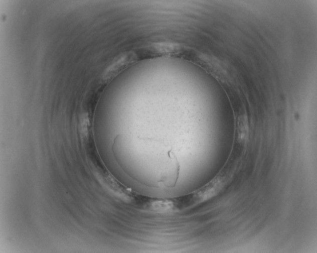 X0000081560279200701291157