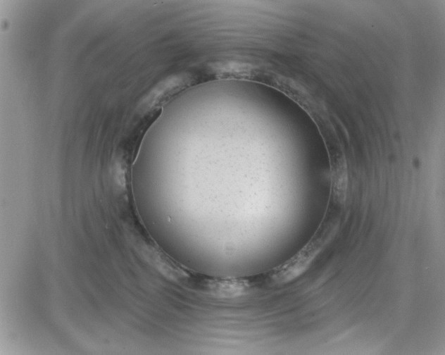 X0000081560282200701291157