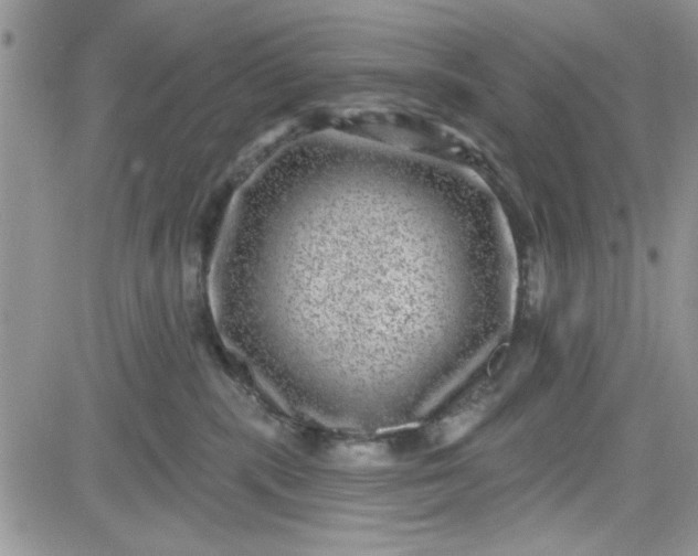 X0000081560283200701291157