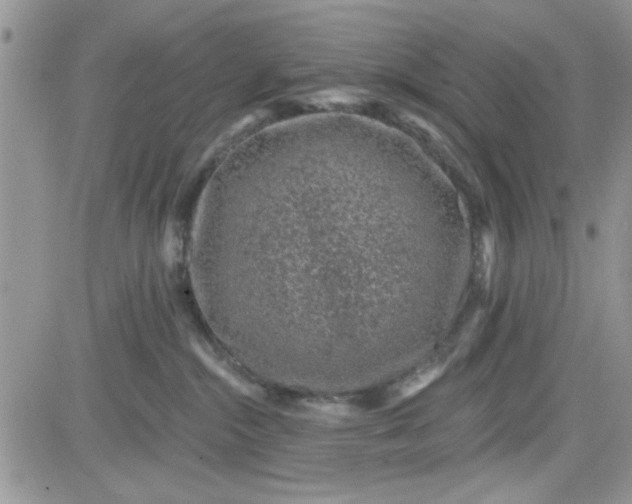 X0000081560284200701291157