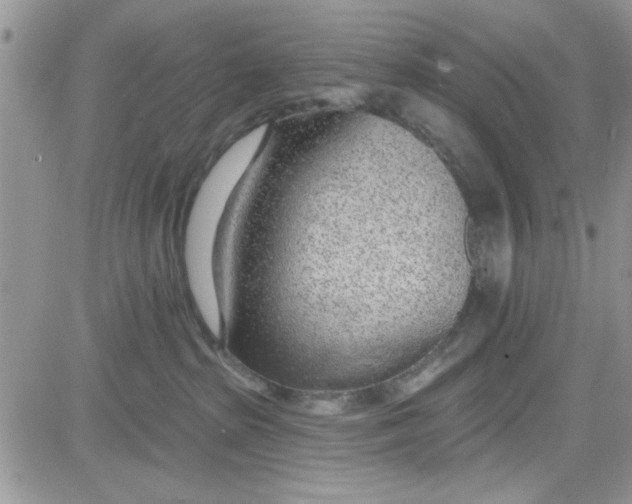 X0000081560285200701291157