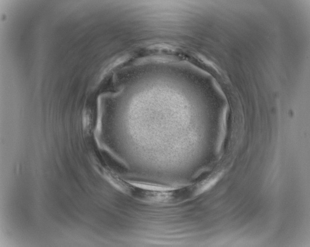 X0000081560288200701291157