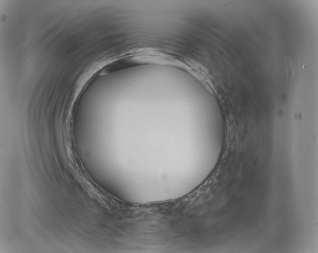 X0000081560289200701291157