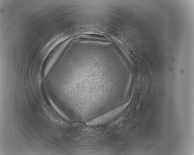 X0000081560290200701291157