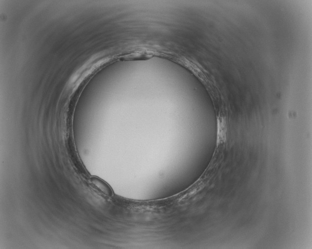 X0000081560291200701291157