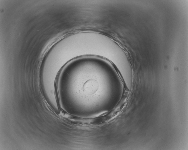 X0000081560293200701291156