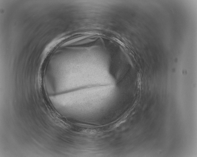 X0000081560294200701291156