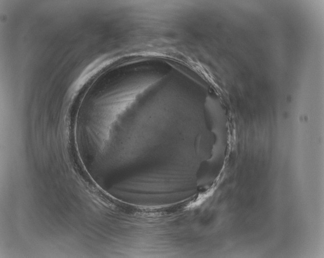 X0000081560295200701291156