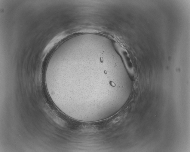 X0000081560296200701291156