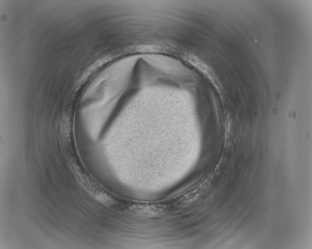 X0000081560297200701291156