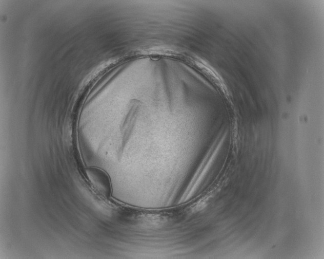 X0000081560298200701291156