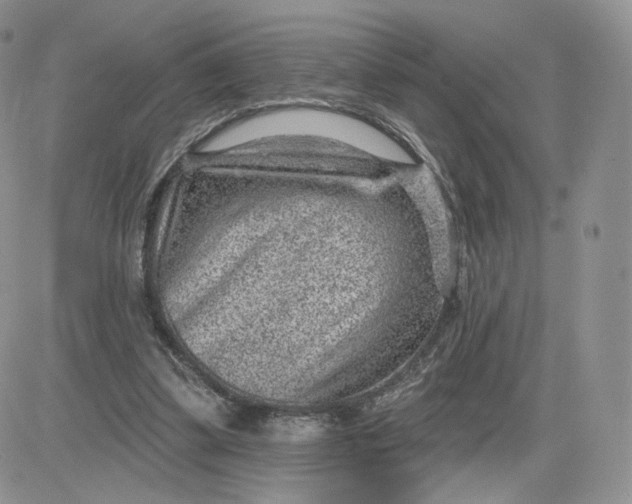 X0000081560299200701291156