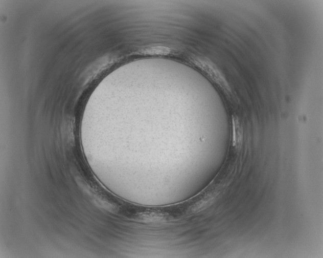 X0000081560300200701291156