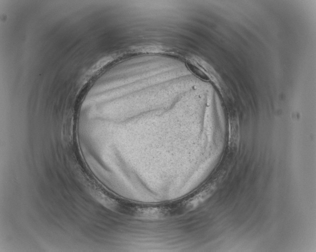 X0000081560301200701291156