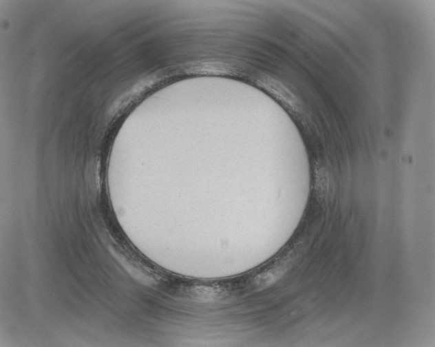 X0000081560302200701291156