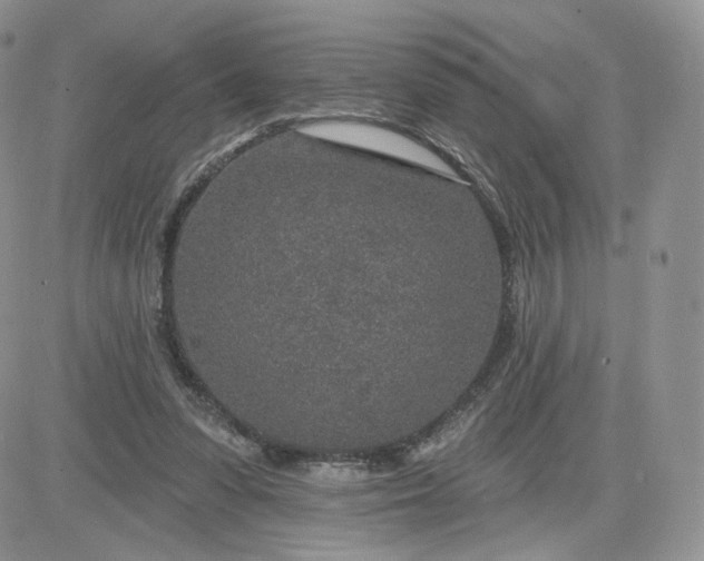 X0000081560303200701291156