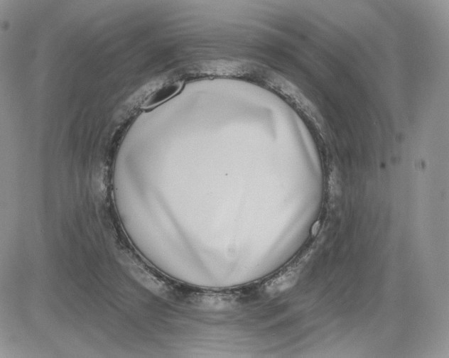 X0000081560305200701291156