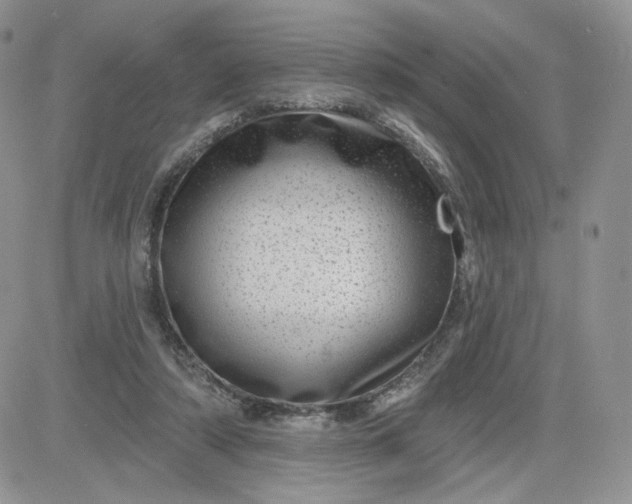 X0000081560306200701291156