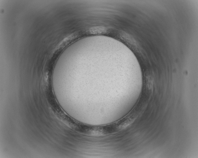 X0000081560308200701291156