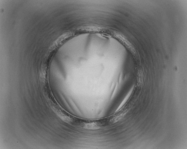 X0000081560309200701291156