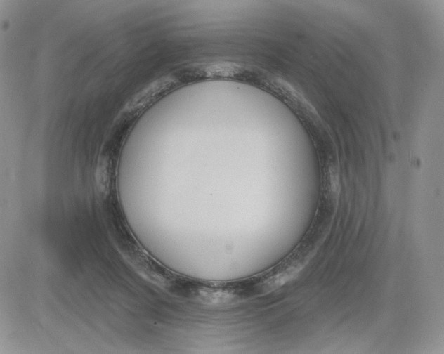 X0000081560311200701291156