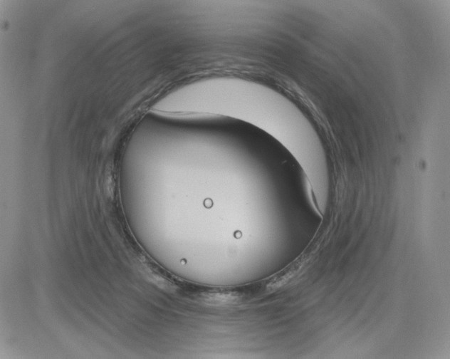 X0000081560313200701291156