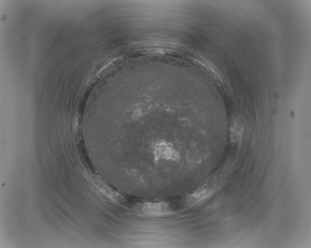 X0000081560314200701291156