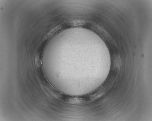 X0000081560316200701291156