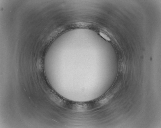 X0000081560317200701291156