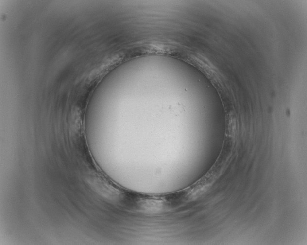 X0000081560318200701291156