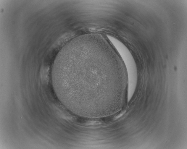 X0000081560319200701291156