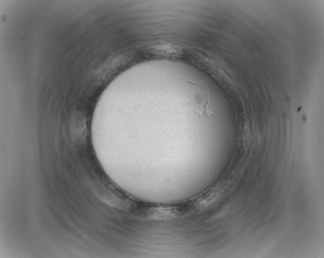 X0000081560320200701291156