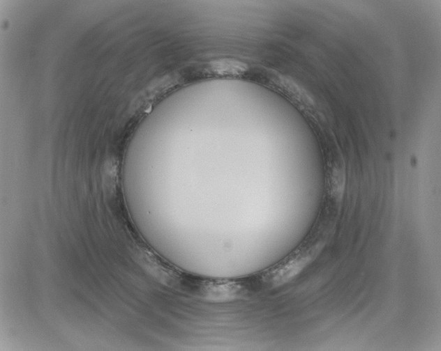 X0000081560321200701291156