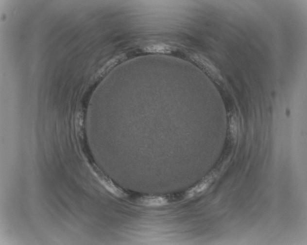 X0000081560322200701291156