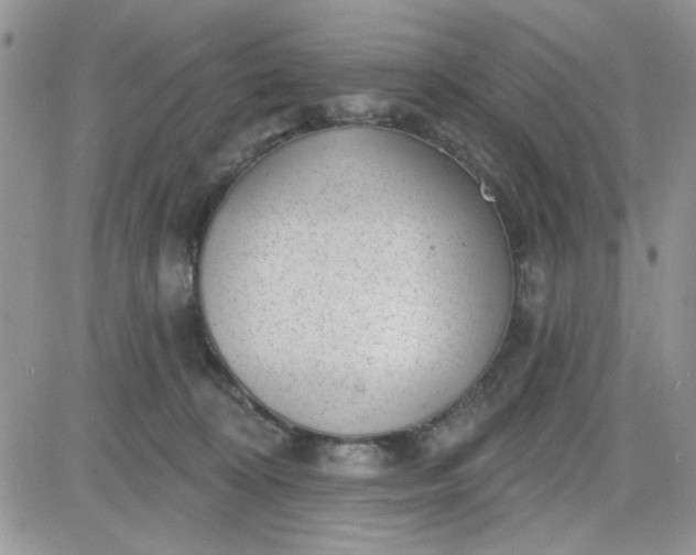 X0000081560324200701291156