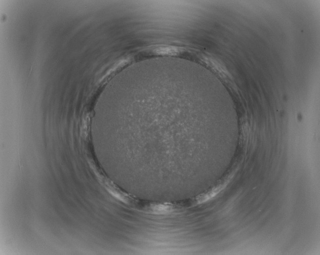 X0000081560325200701291156