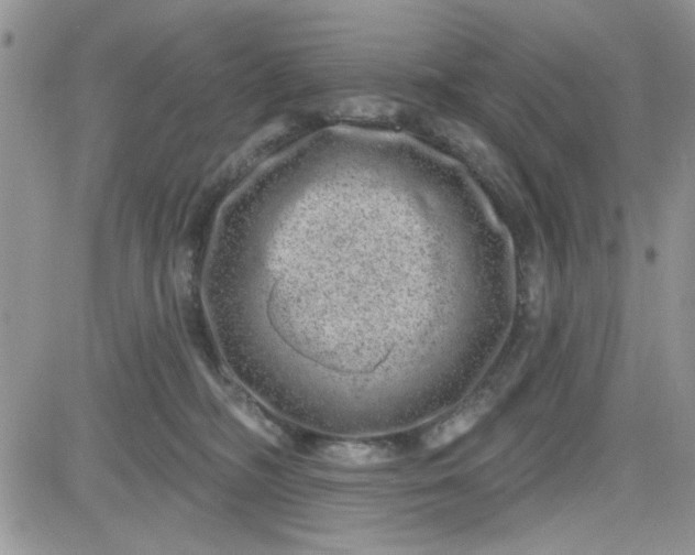 X0000081560326200701291156