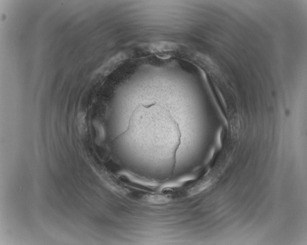 X0000081560327200701291156