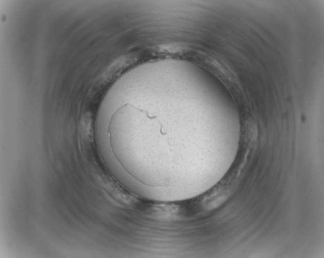 X0000081560328200701291156