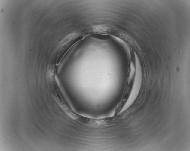 X0000081560329200701291156