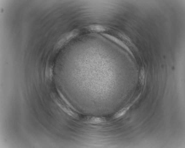 X0000081560330200701291156